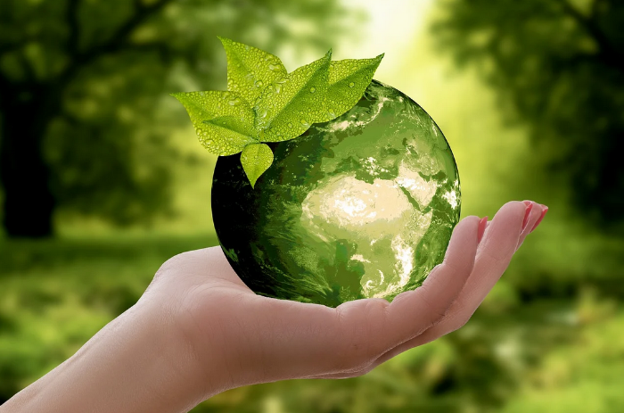 Nachhaltigkeit - Nachhaltigkeitsverantwortung